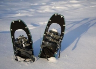  冬季举办研讨会的想法